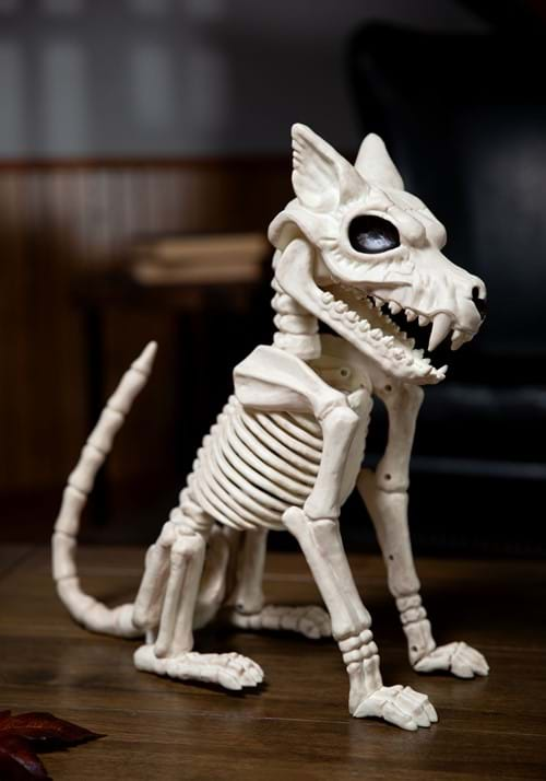 17.5 Inch Wolf Skeleton