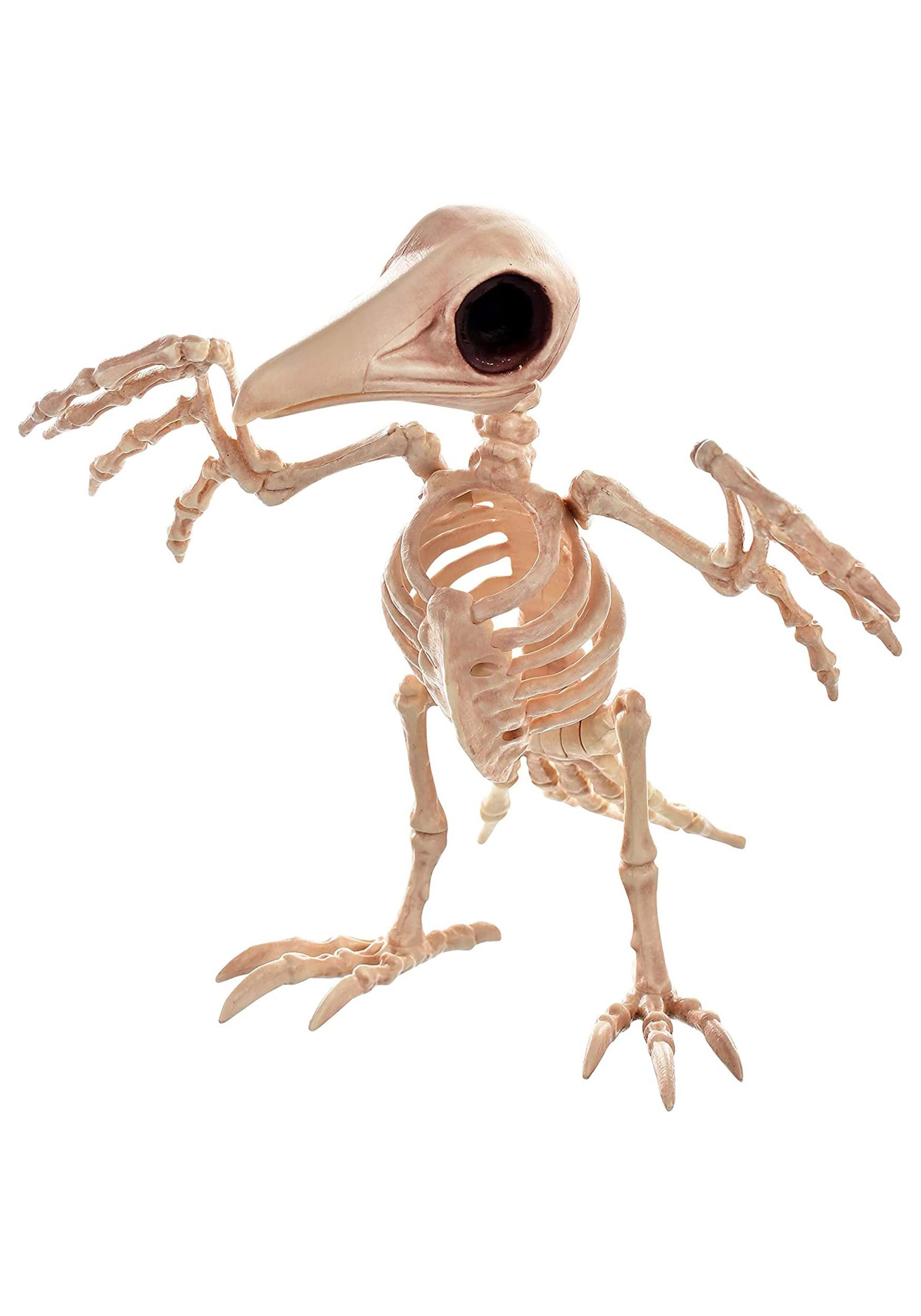 10.5 Creepy Skeleton Raven Halloween Decoration , Animal Skeletons