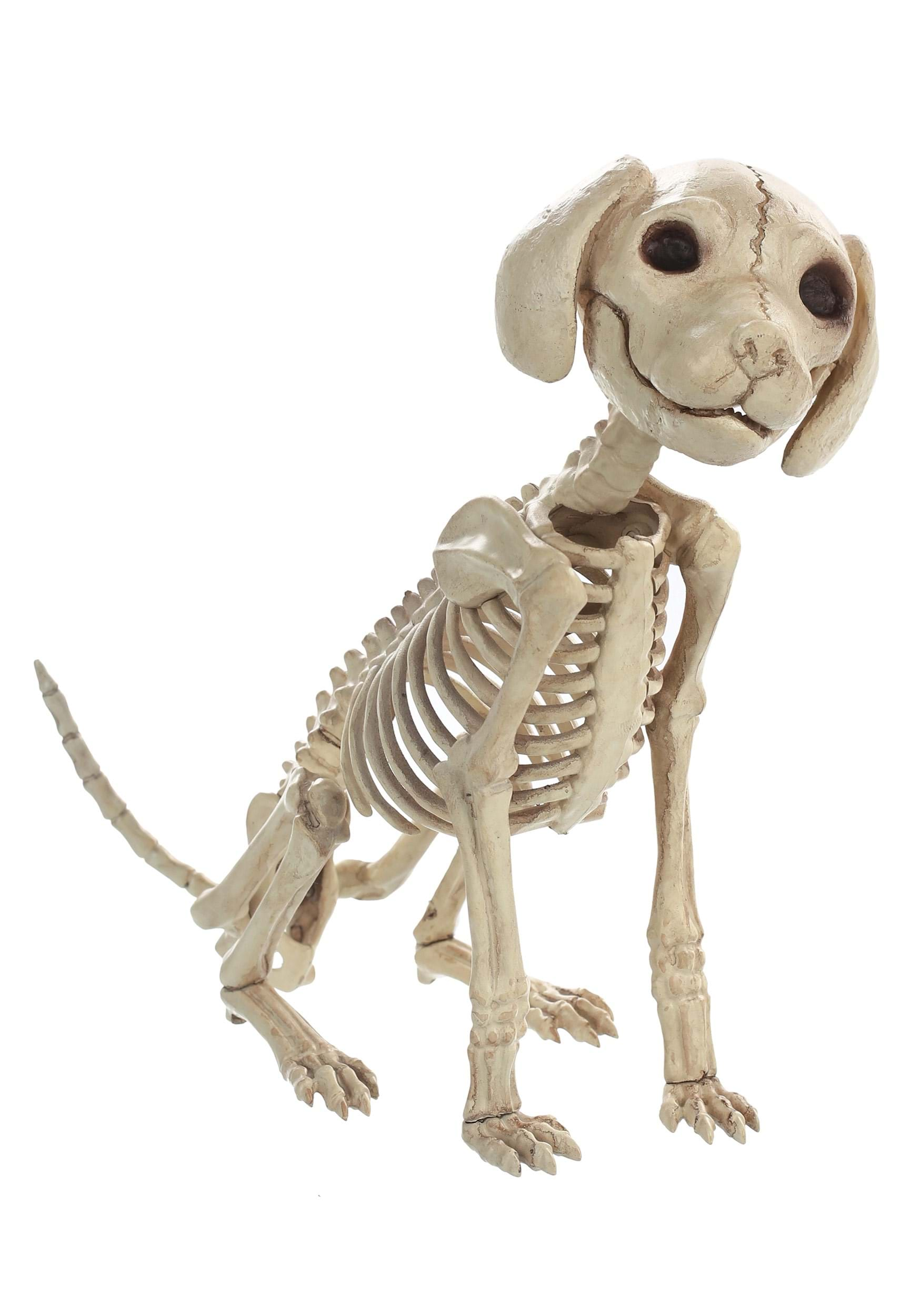 7.5 Inch Sitting Puppy Skeleton Decoration , Skeleton Props