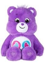 Care Bears Share Bear Medium Plush  Alt 3