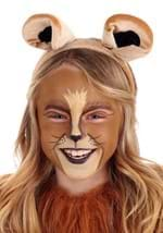 Lion Makeup Kit Alt 1