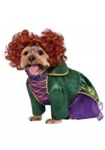 Hocus Pocus Winifred Sanderson Dog Costume