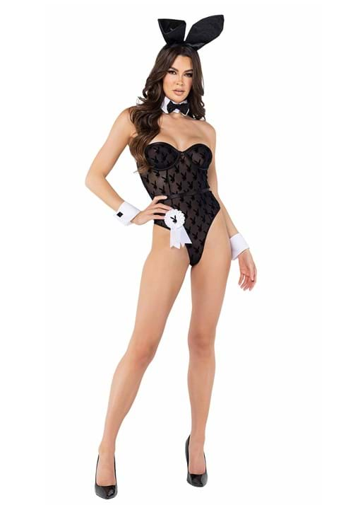 Women's Sheer Playboy Bunny Costume