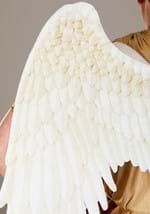 Plus Size Mens Sexy Angel Costume Alt 5
