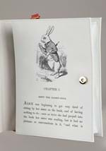 Alice in Wonderland Book Bag Alt 5