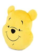 Dinsey Winnie the Pooh Flat Pillow Alt 2