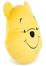 Dinsey Winnie the Pooh Flat Pillow Alt 3