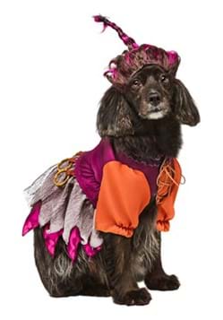 Pet's Hocus Pocus Mary Sanderson Costume