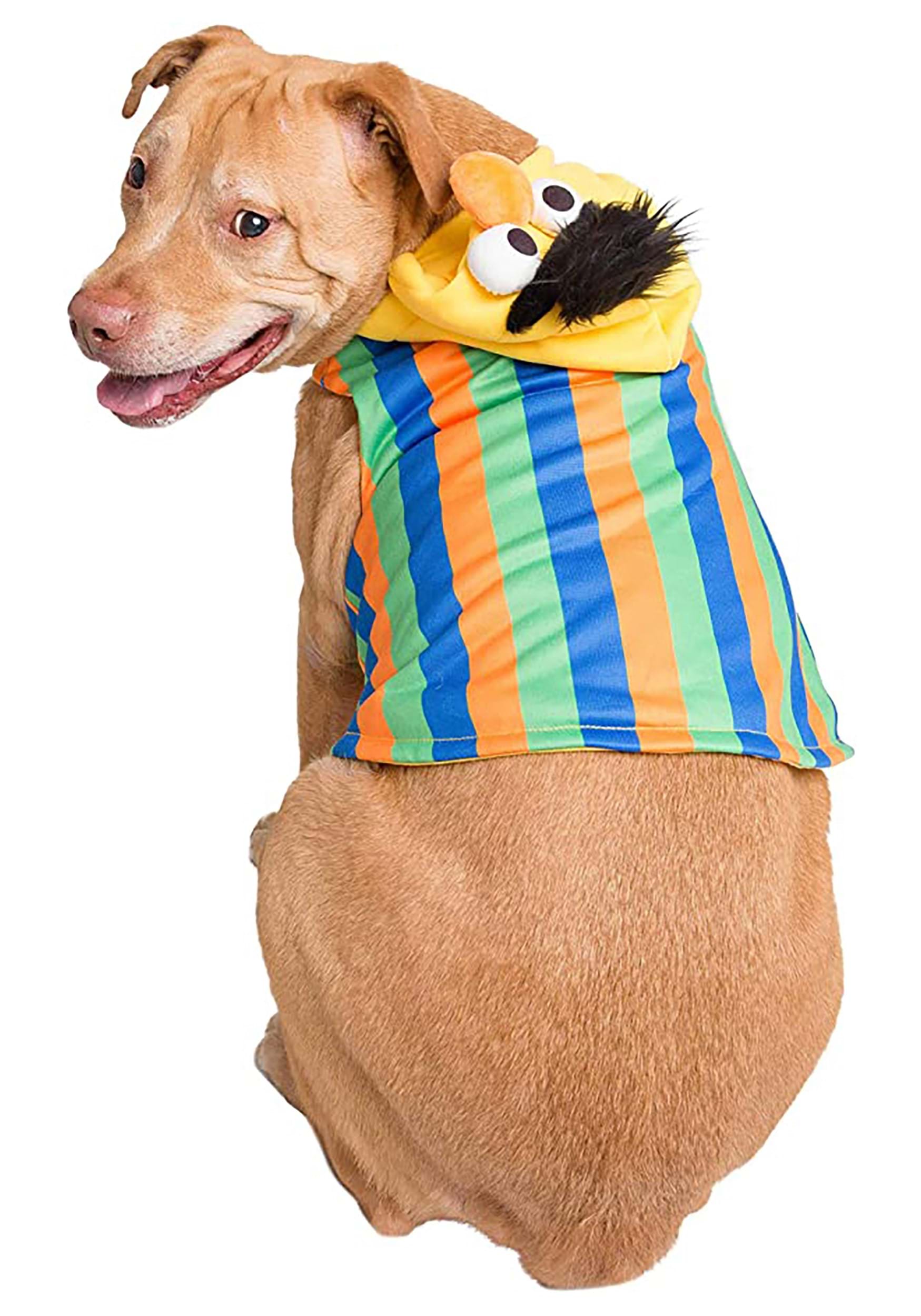 Sesame Street Bert Costume For Pets