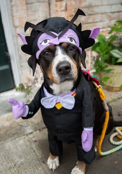 Sesame Street The Count Pet Costume