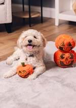 Pumpkin Pals Pet Squeaky Toy Set Alt 2