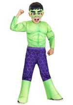 Toddler The Incredible Hulk Costume