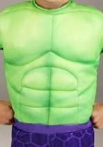 Toddler The Incredible Hulk Costume Alt 2