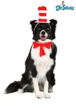 The Cat in The Hat Pet Costume