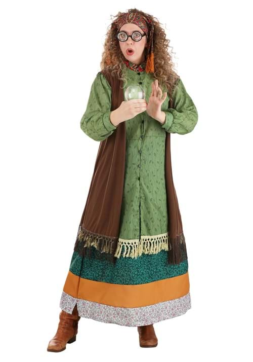 Adult Harry Potter Deluxe Professor Trelawney Costume