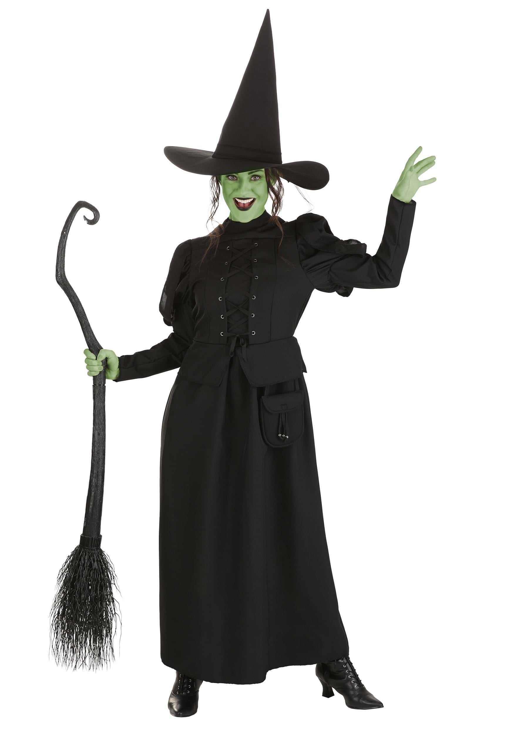 Wizard Of Oz Adult Wicked Witch Costume , Movie Costumes