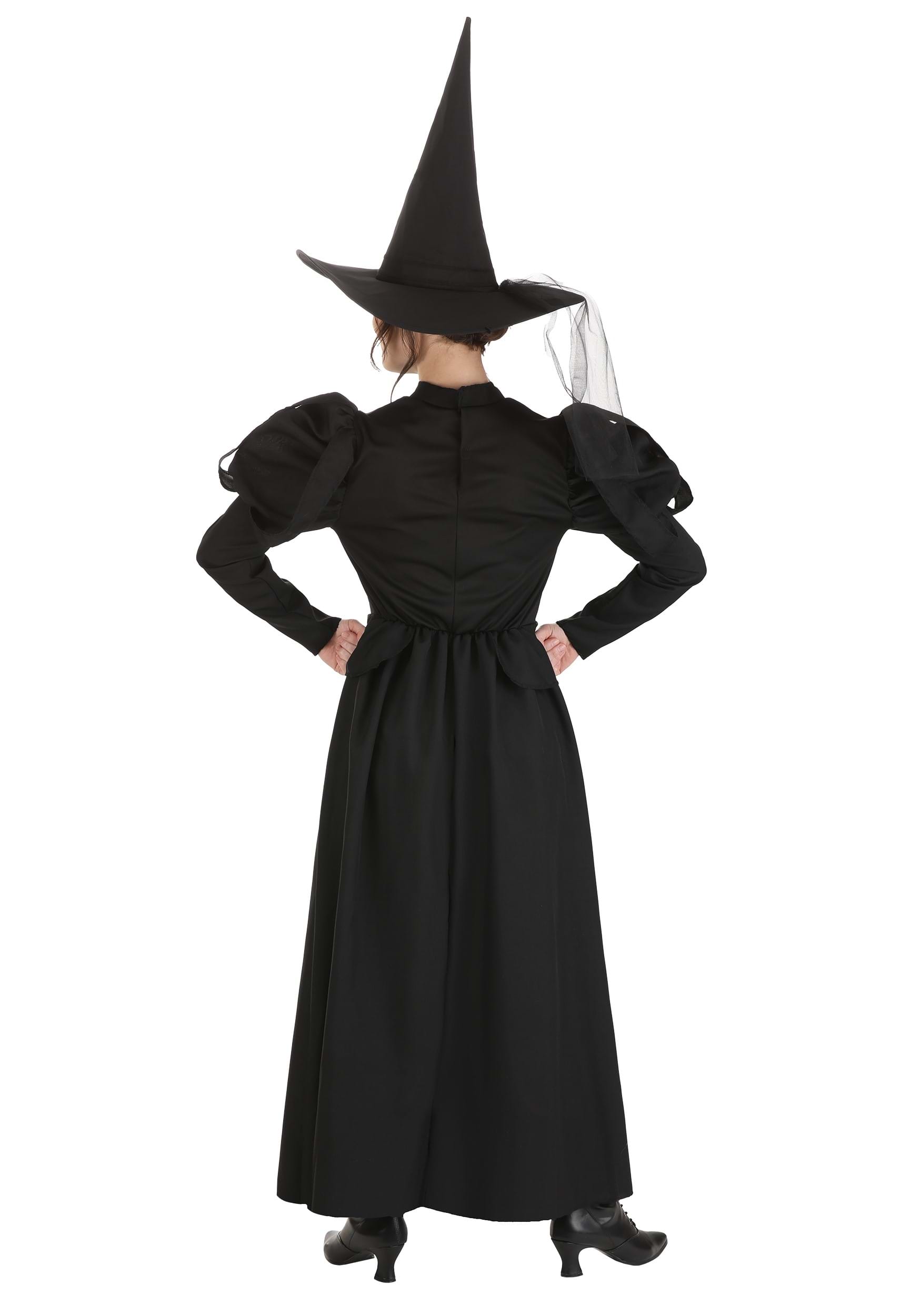 Wizard Of Oz Adult Wicked Witch Costume , Movie Costumes
