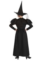 Wizard of Oz Adult Wicked Witch Costume Alt 4