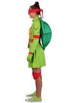 Adult TMNT Raphael Costume Dress Alt 13